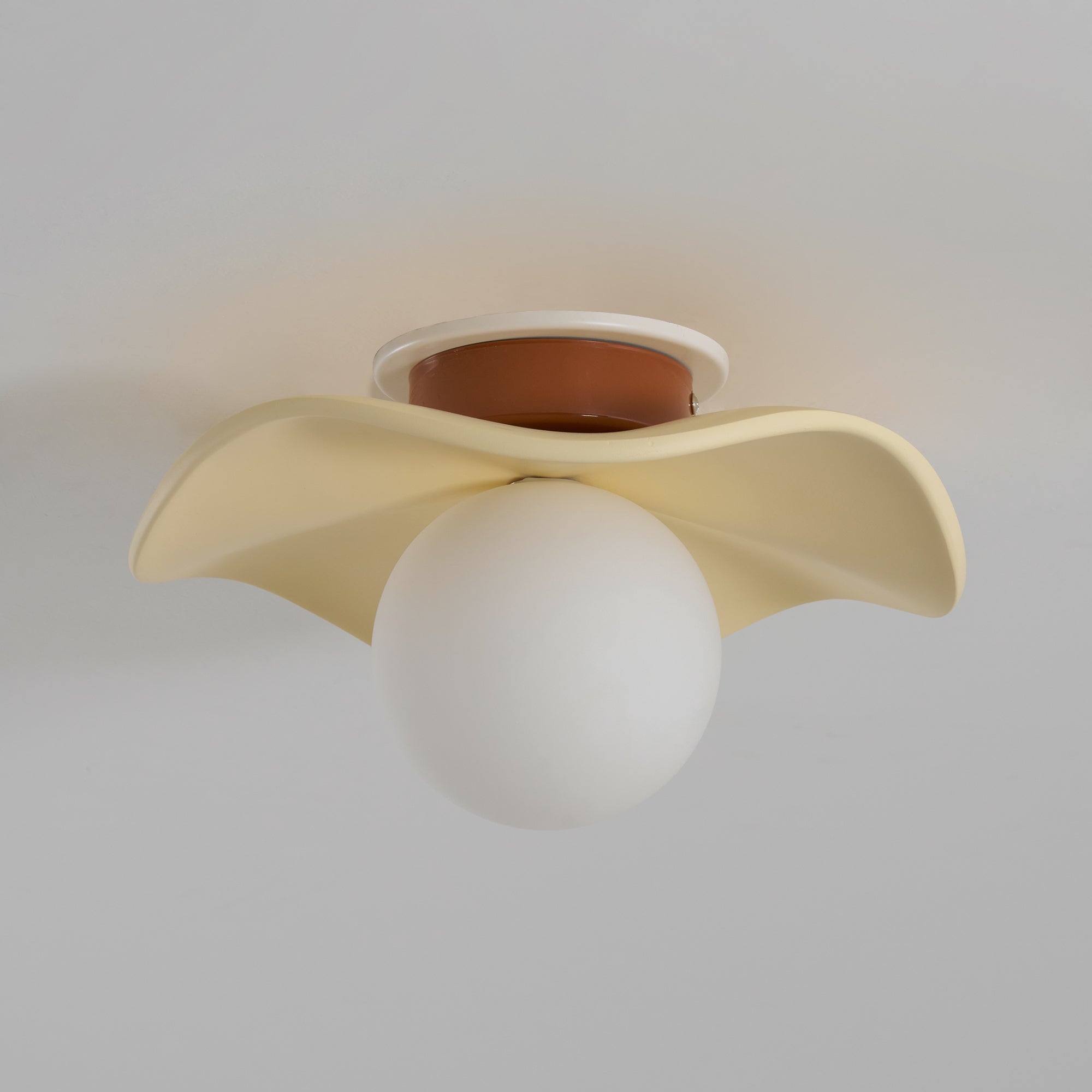 Noaeye Ceiling Light