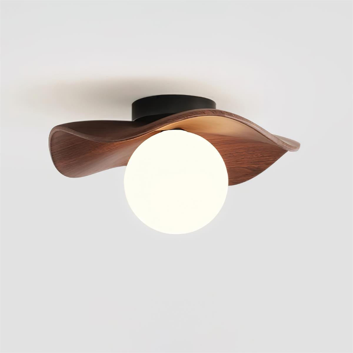 Noaeye Ceiling Light
