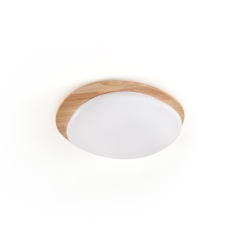 Junovalo Minimalist Ceiling Light