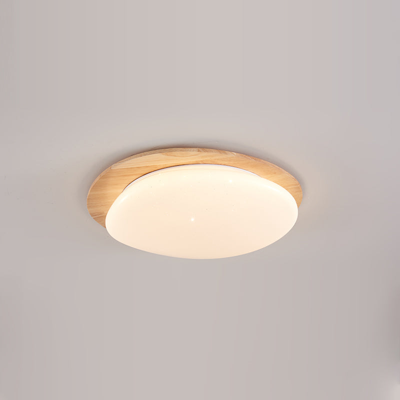 Junovalo Minimalist Ceiling Light