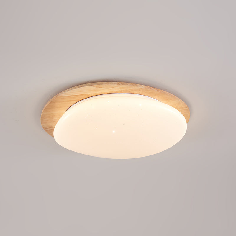 Junovalo Minimalist Ceiling Light