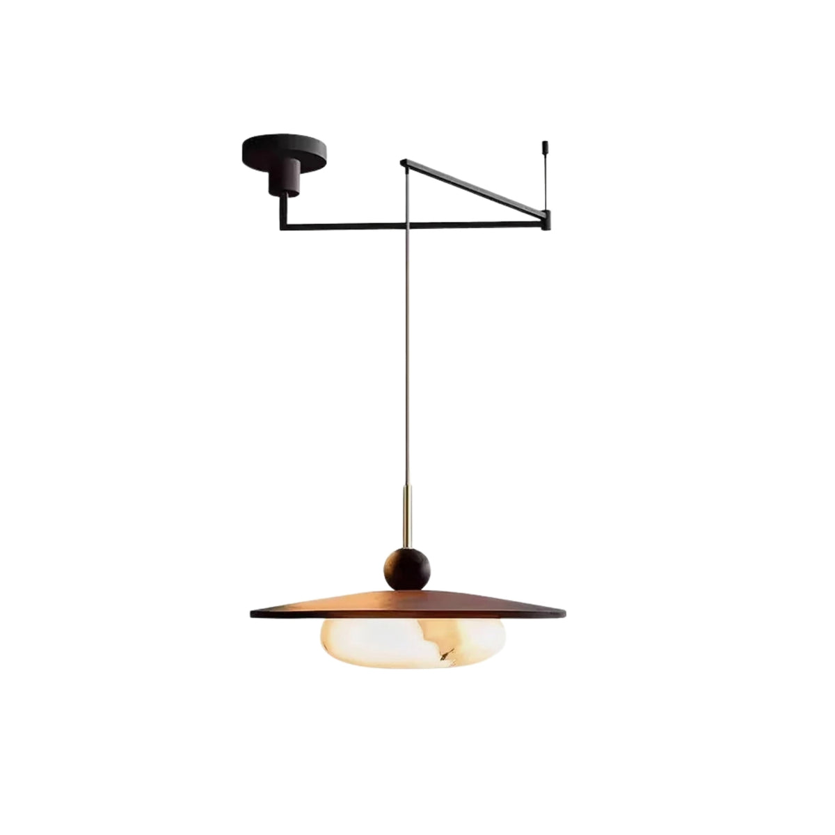 Calani Swing Arm Pendant Light