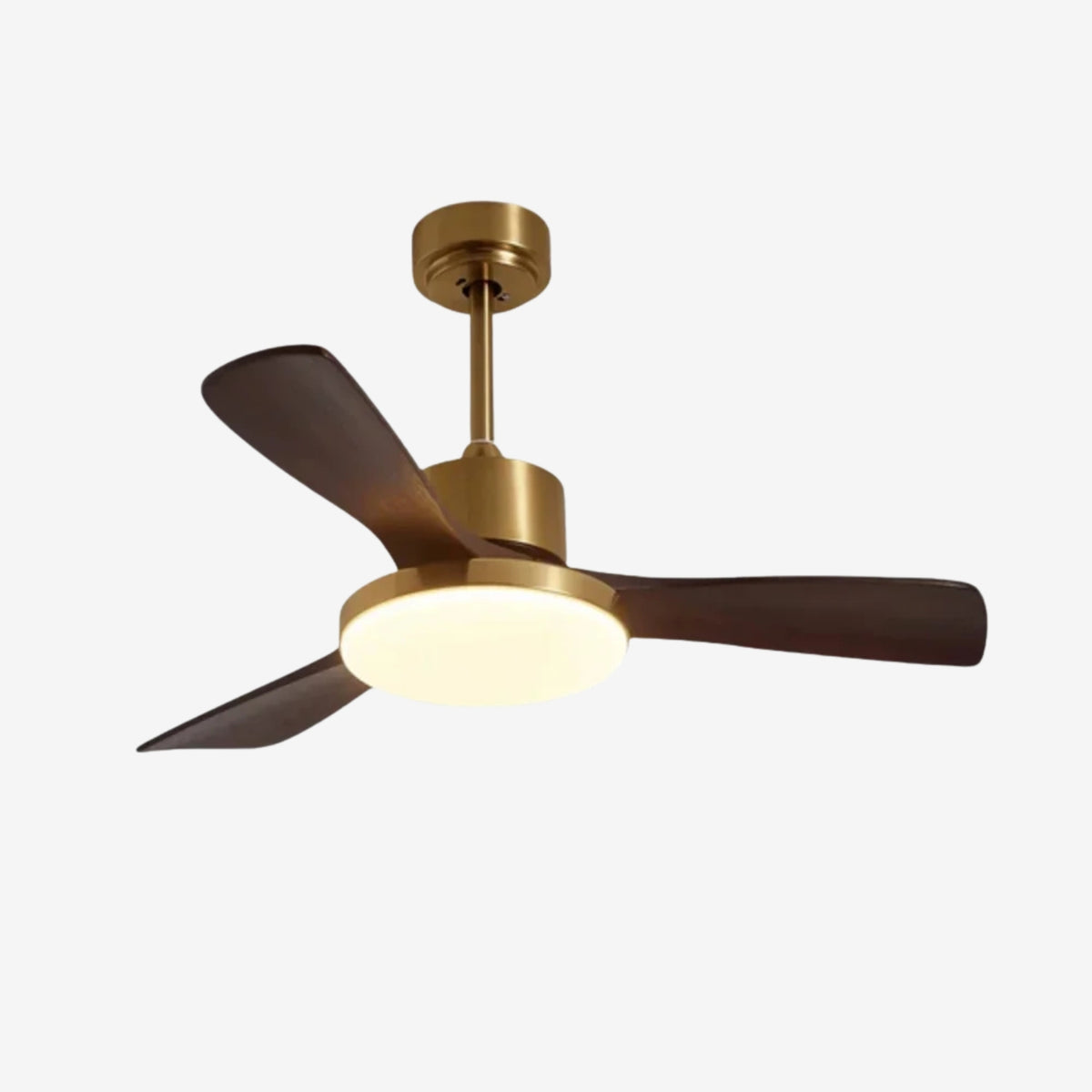 Virova Ceiling Fan Light