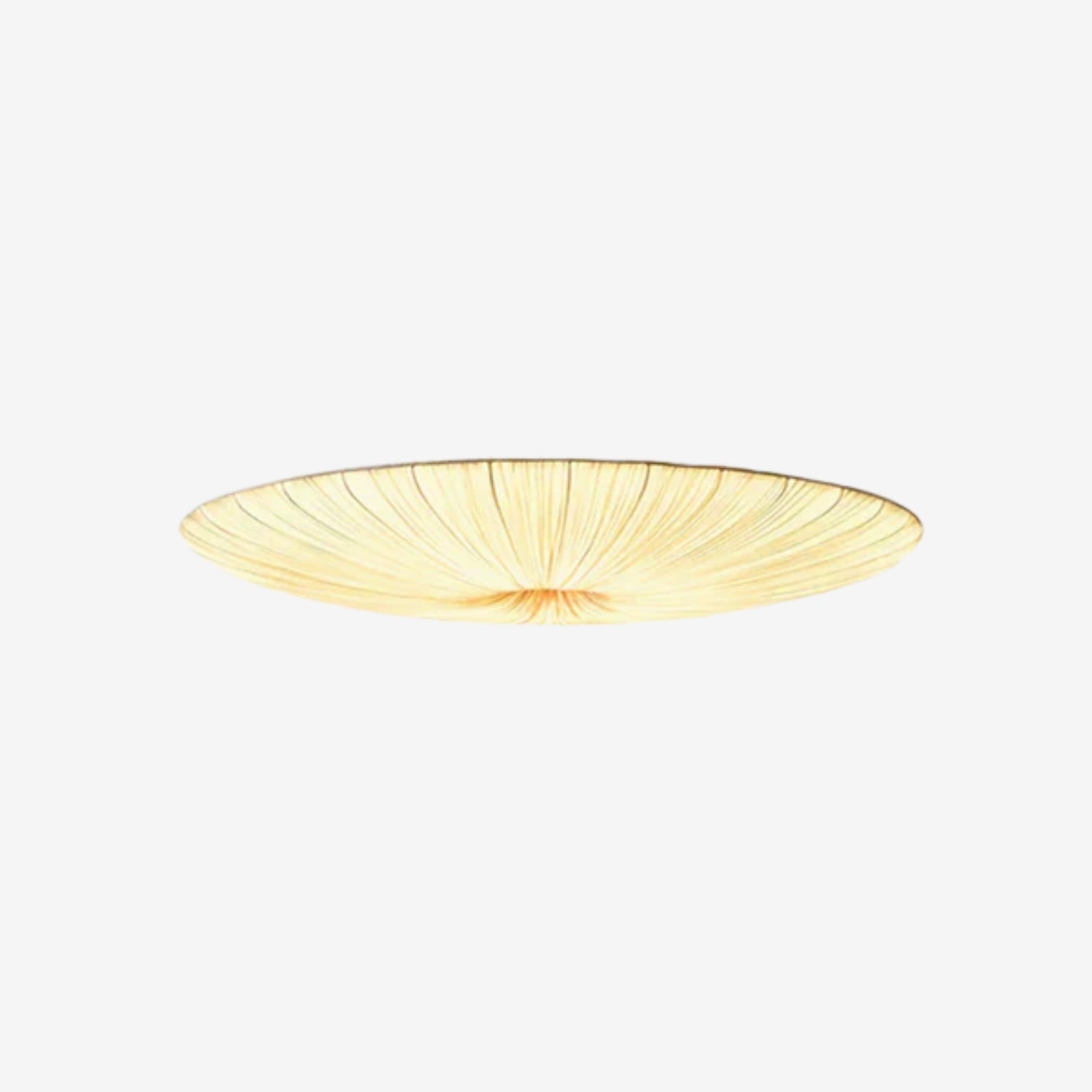 Junovenlo Tassel Ceiling Light