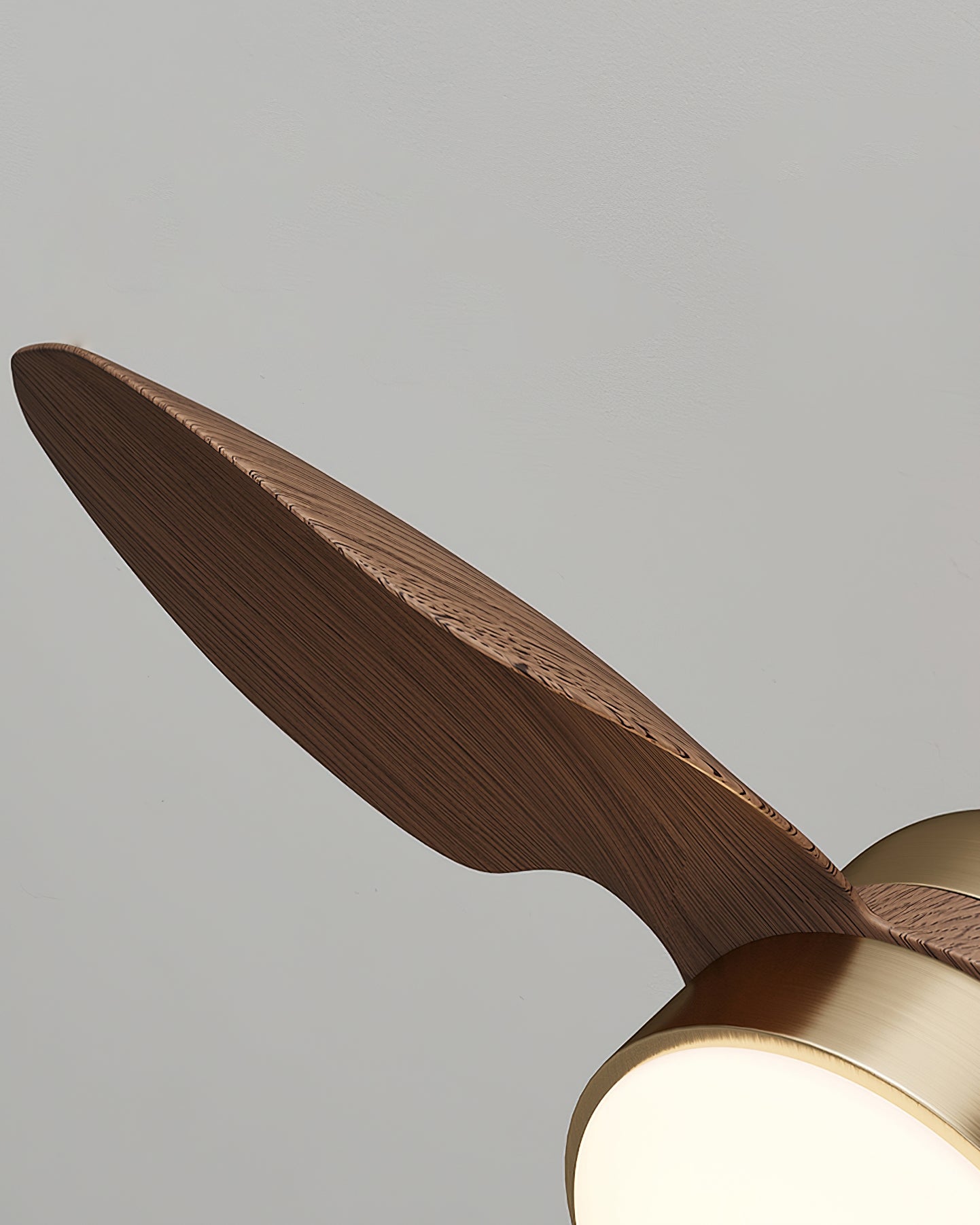 Mavena Modern Ceiling Fan Light