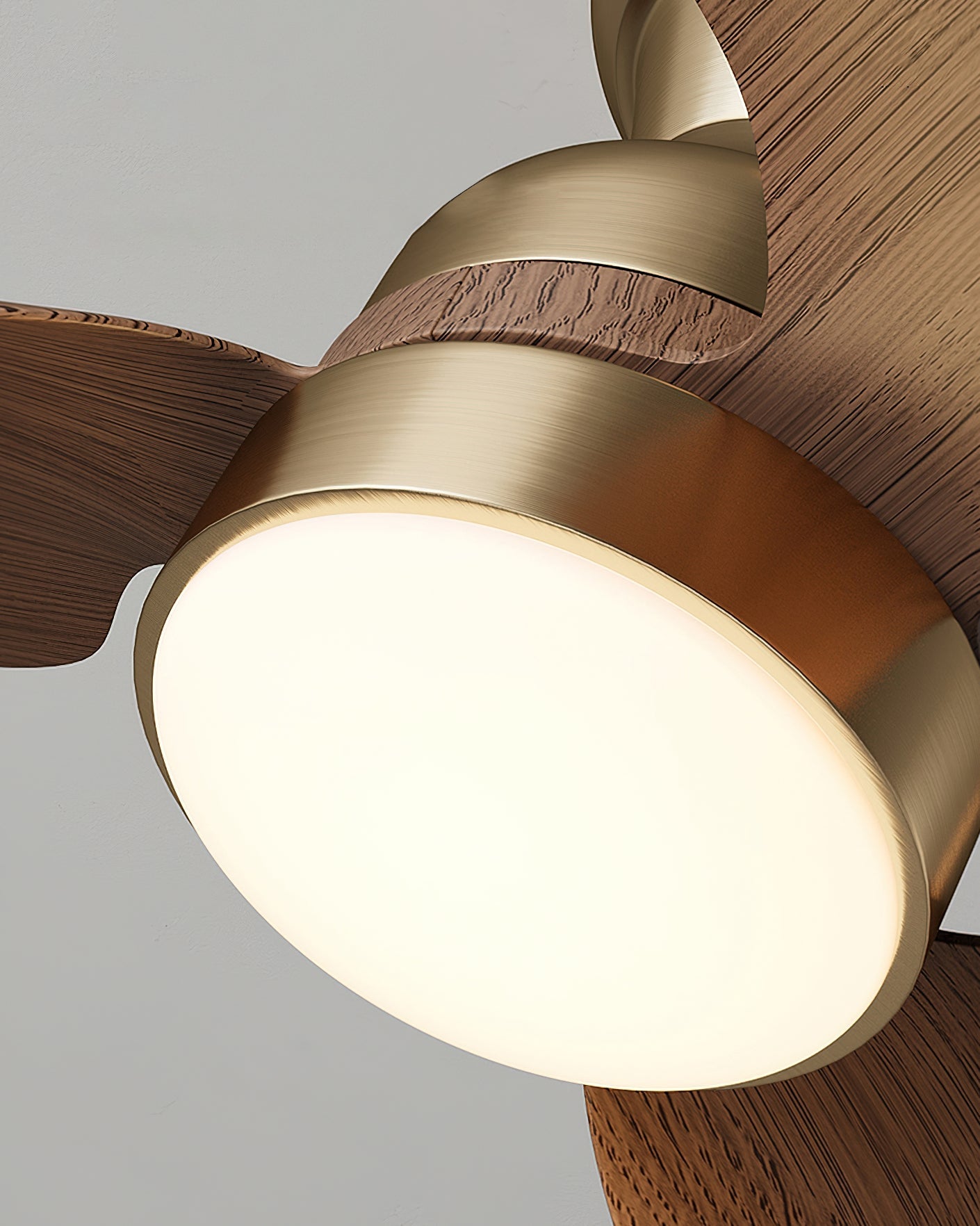 Mavena Modern Ceiling Fan Light