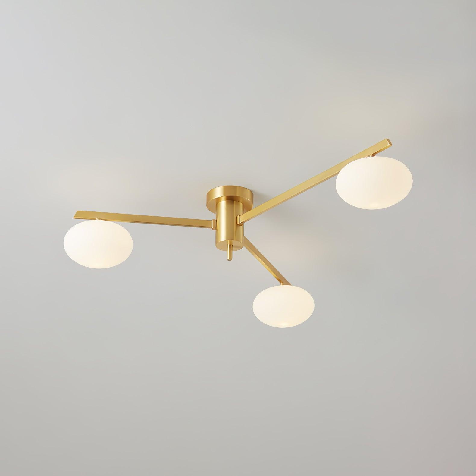 Nolmien Modern Ceiling Light