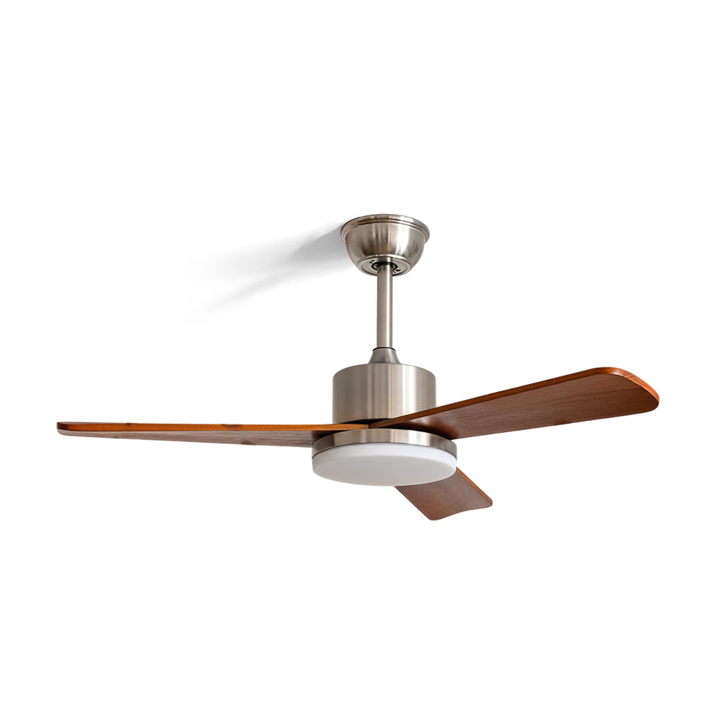 Rioton Ceiling Fan Light
