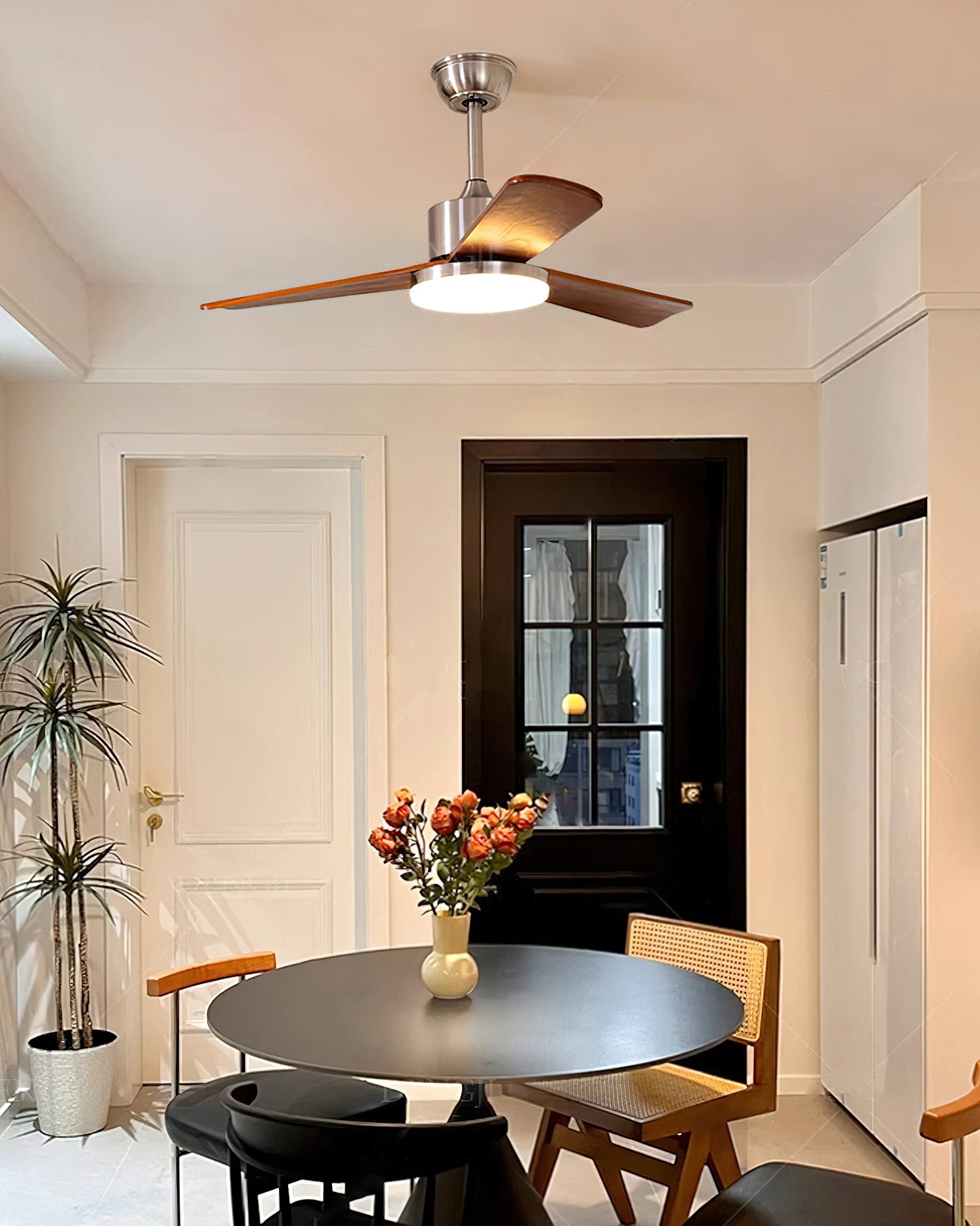 Rioton Ceiling Fan Light