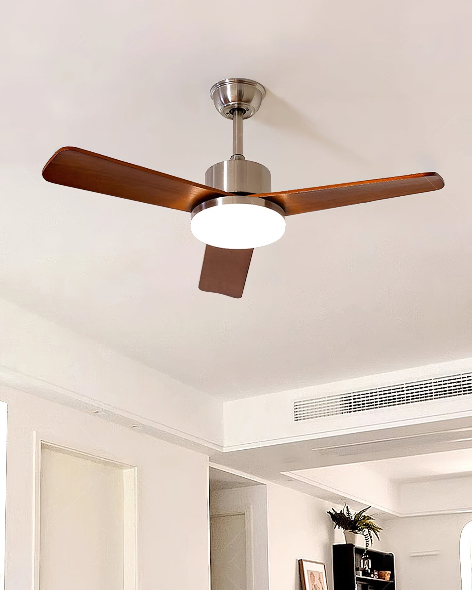 Rioton Ceiling Fan Light