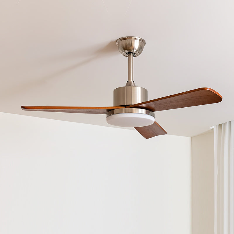 Rioton Ceiling Fan Light