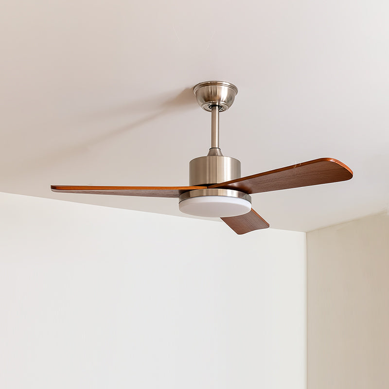 Rioton Ceiling Fan Light