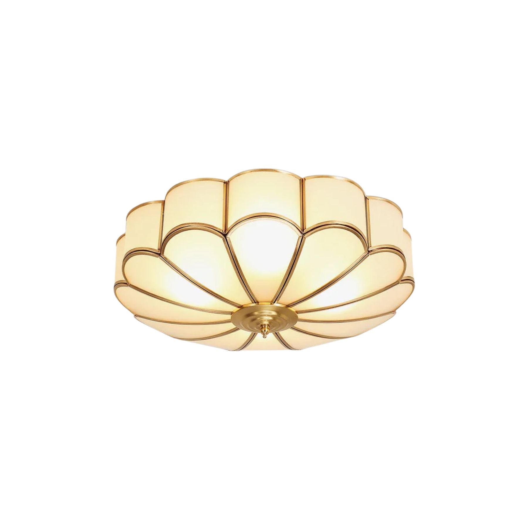 Fomensa Ceiling Light