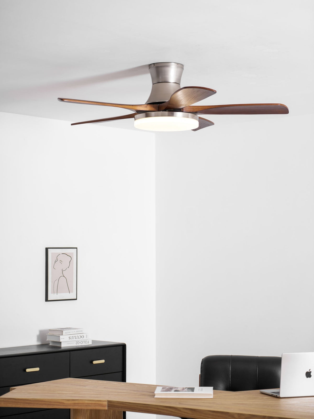 Camon Ceiling Fan Light