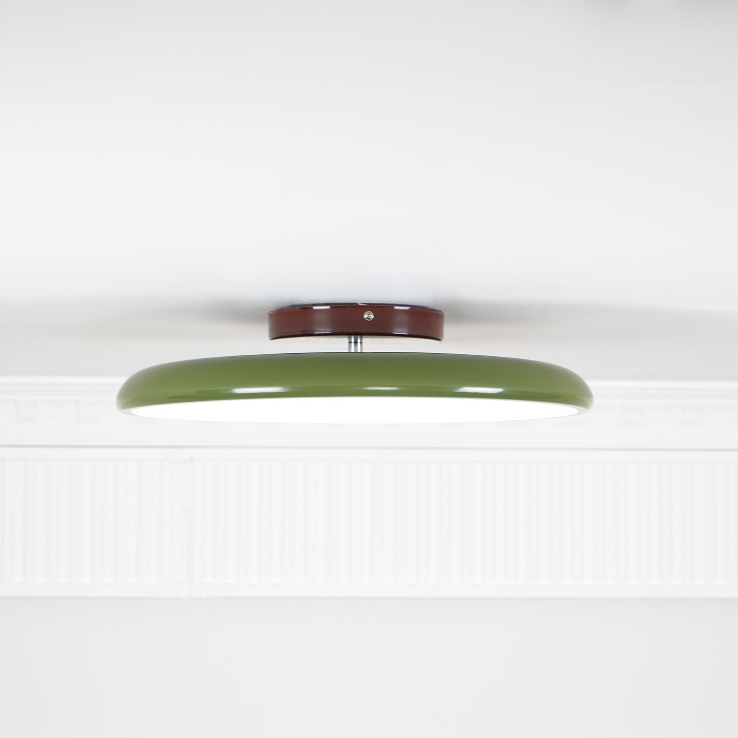 Rioas Adjustable Ceiling Light