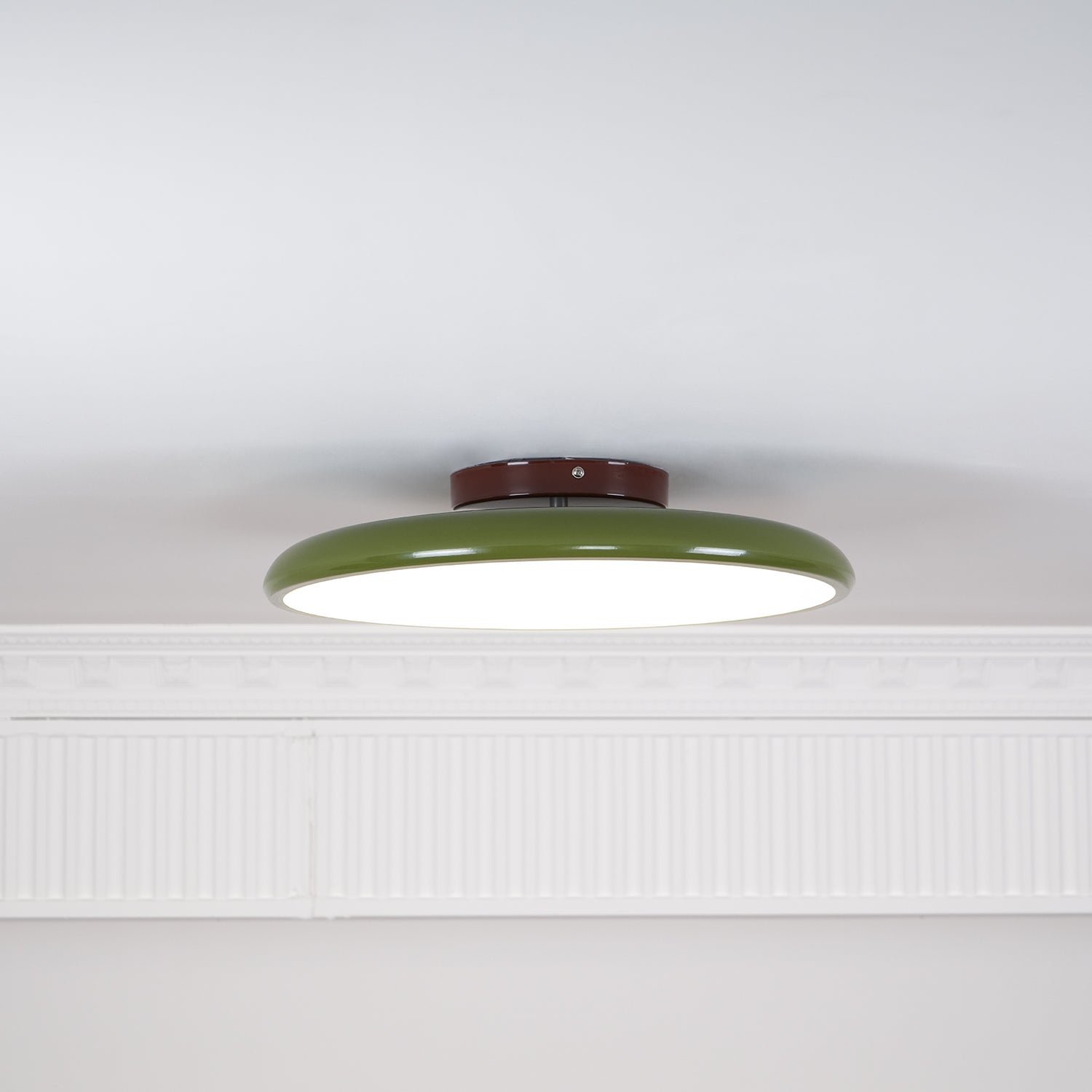 Rioas Adjustable Ceiling Light