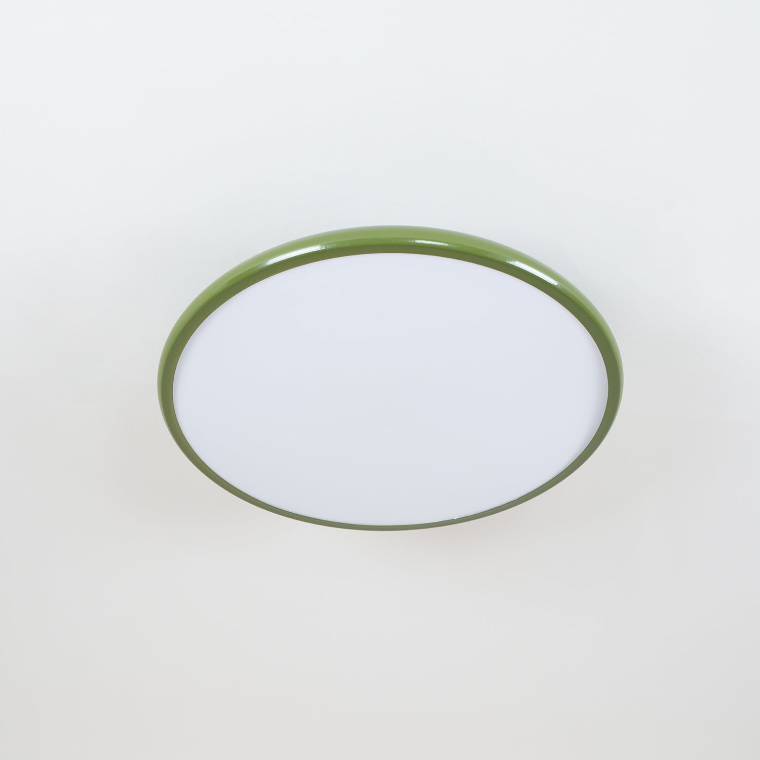 Rioas Adjustable Ceiling Light