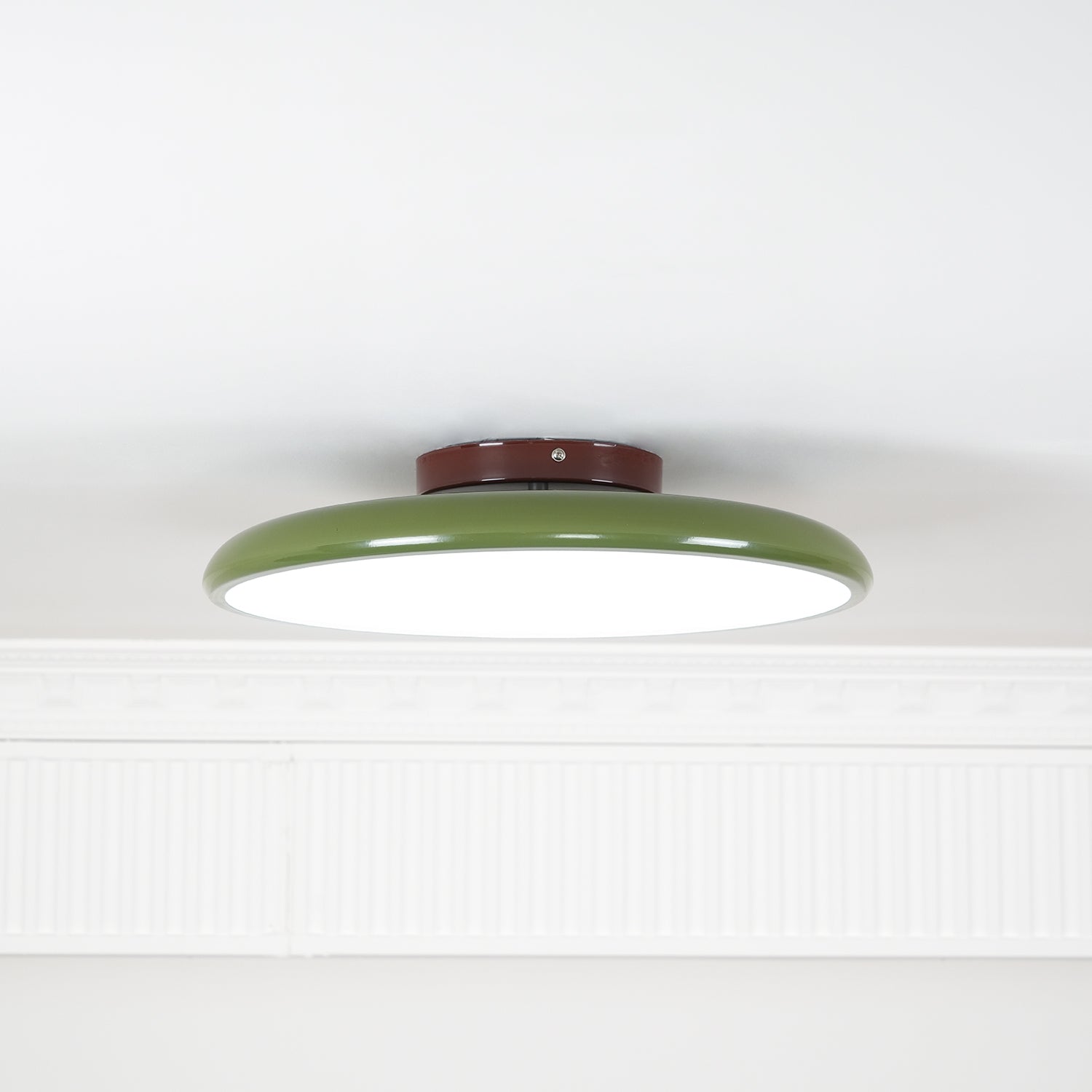 Rioas Adjustable Ceiling Light
