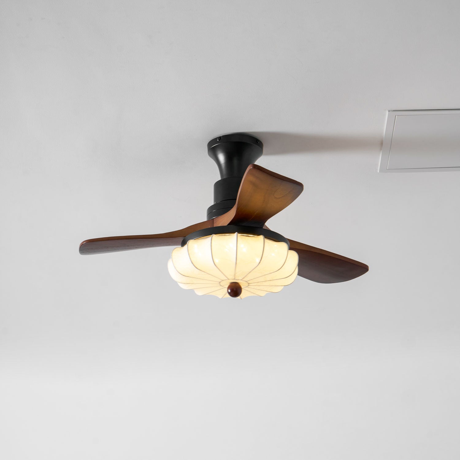 Leero Ceiling Fan Light