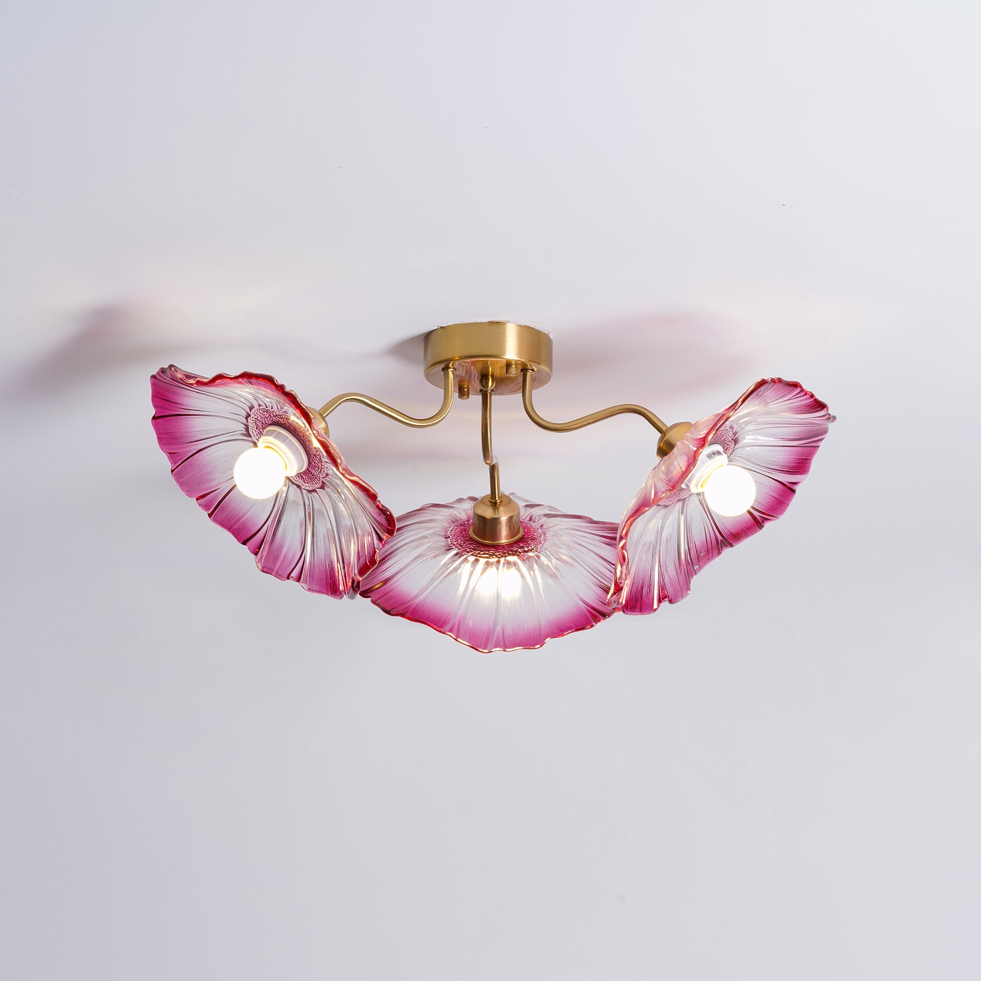 Jorcor Leaf Ceiling Light