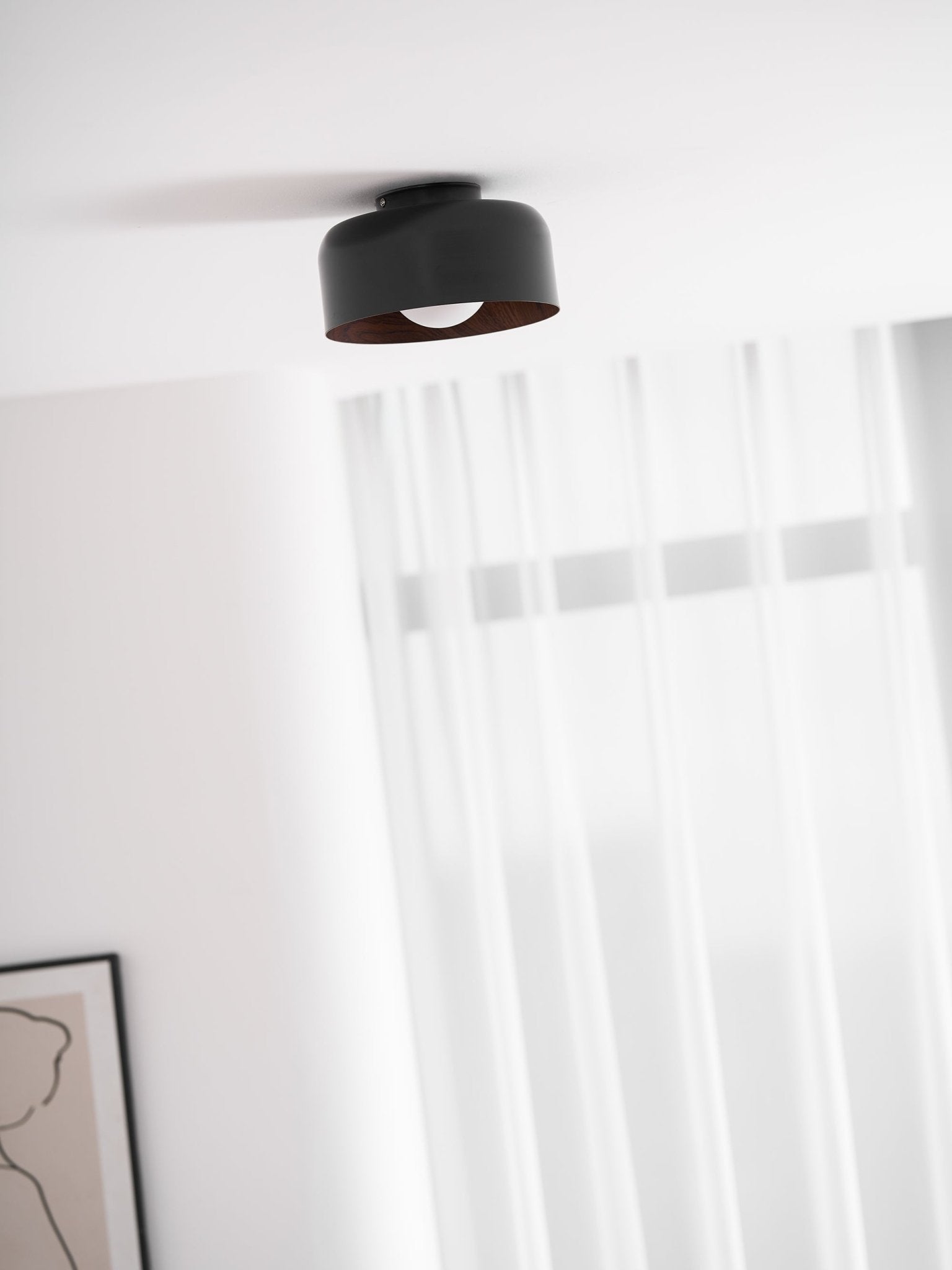 Cayeler Ceiling Light