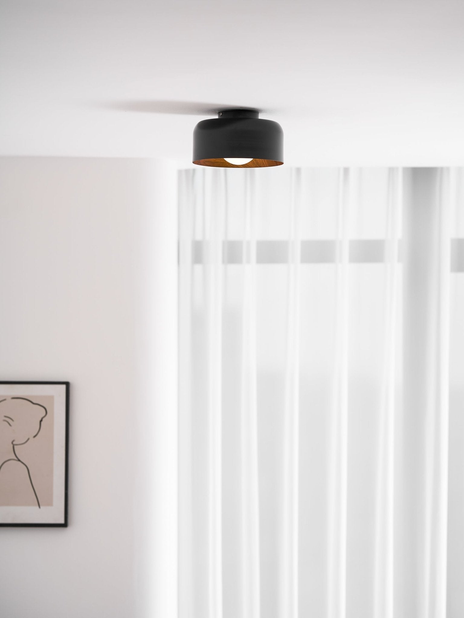 Cayeler Ceiling Light