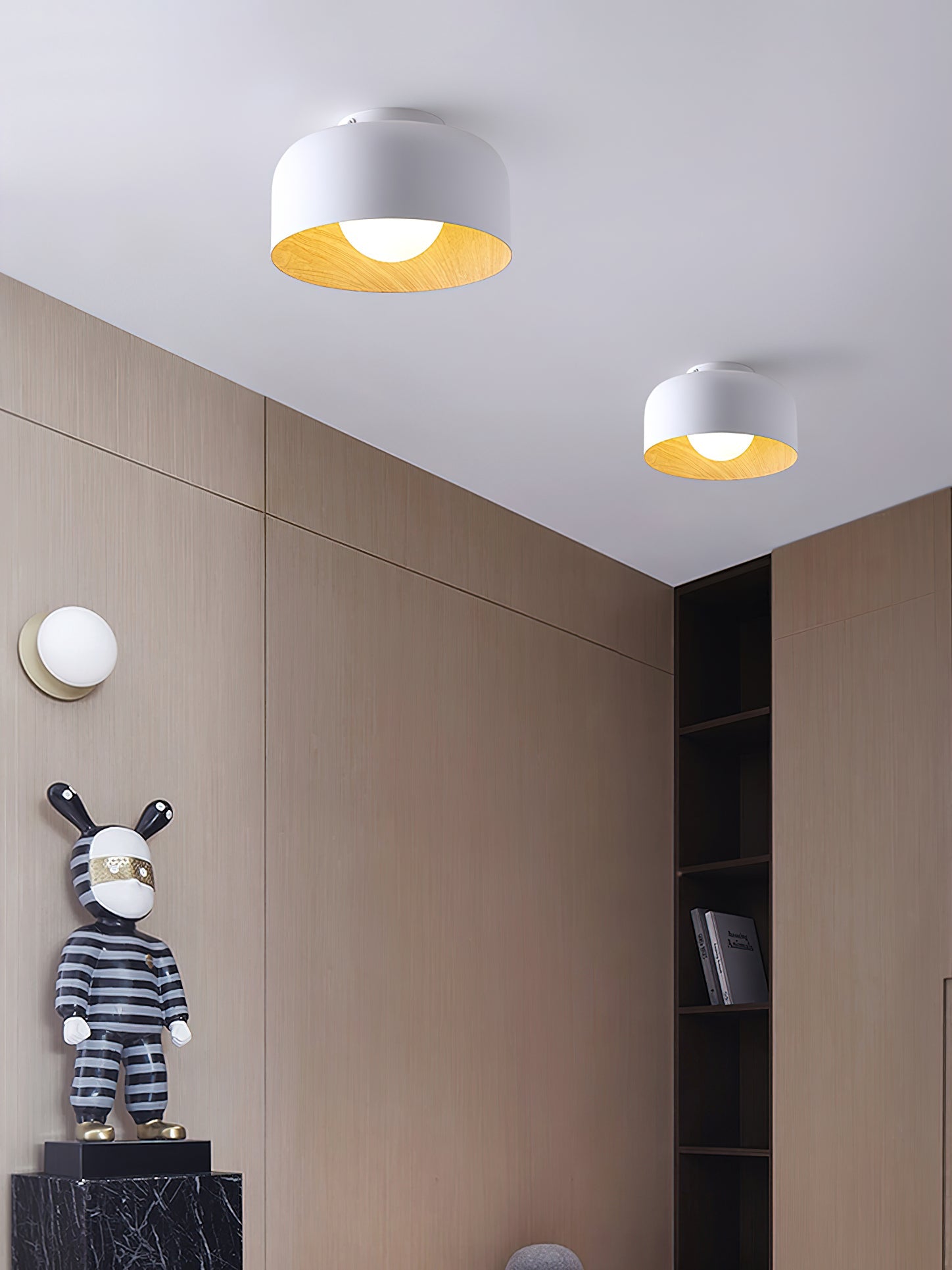 Cayeler Ceiling Light
