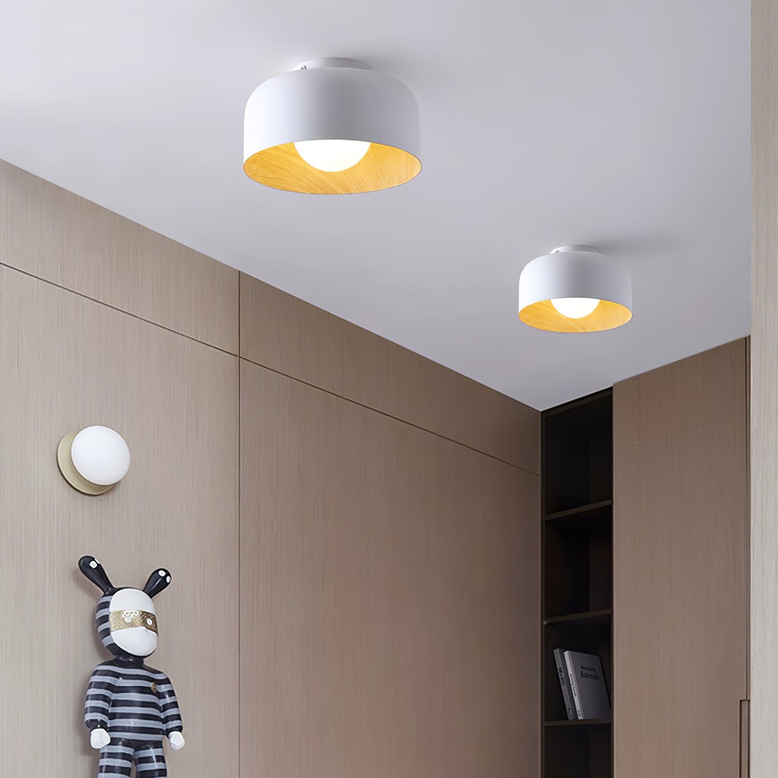 Cayeler Ceiling Light