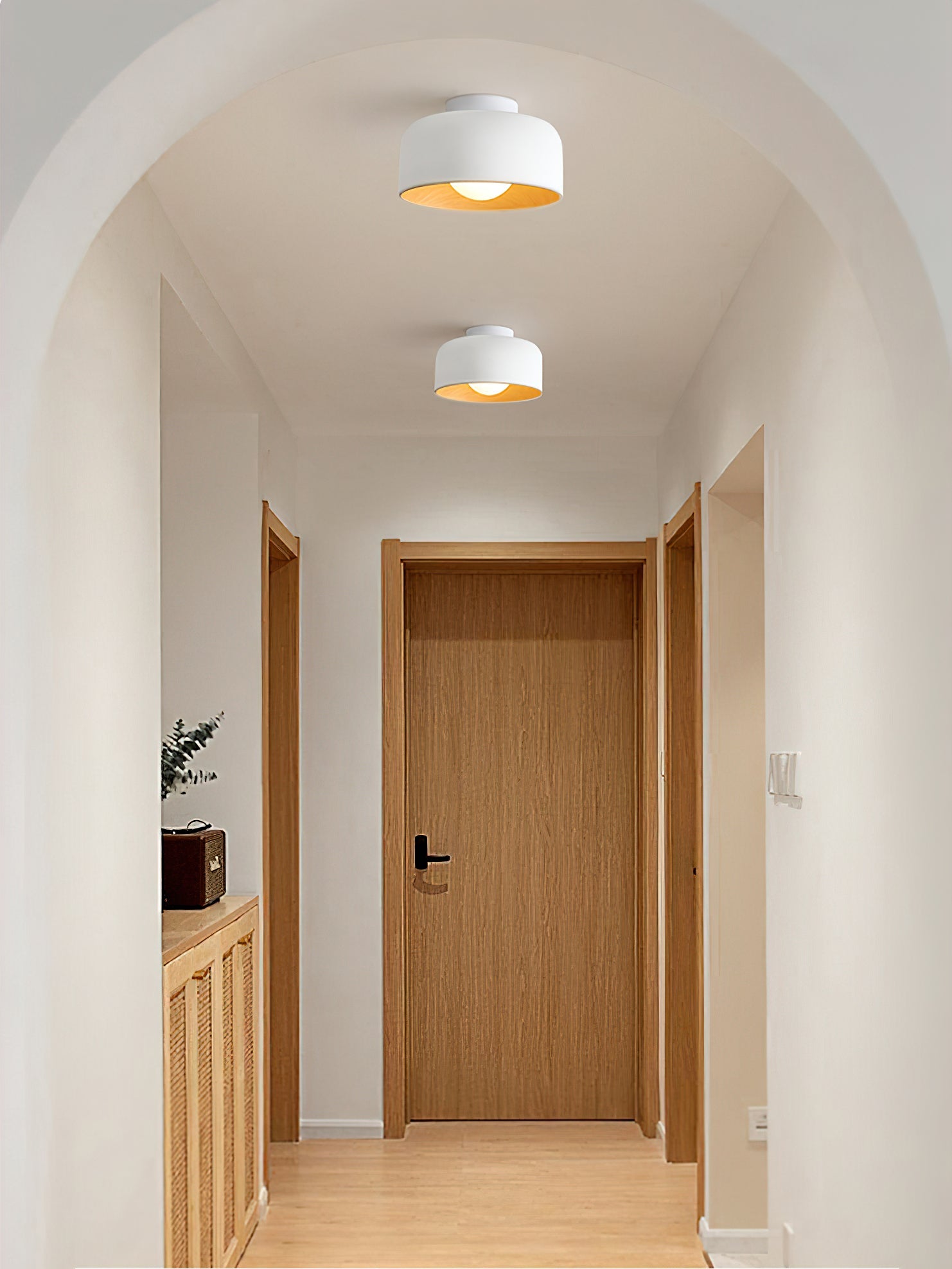 Cayeler Ceiling Light