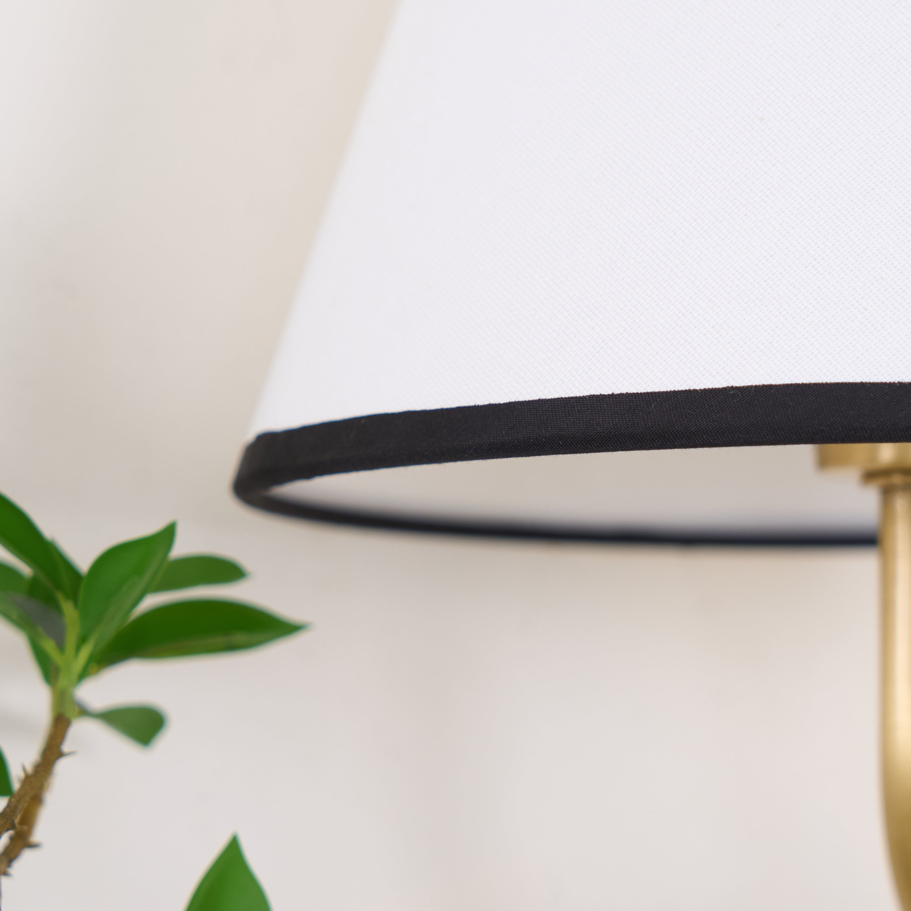 Zelioton Wall Light