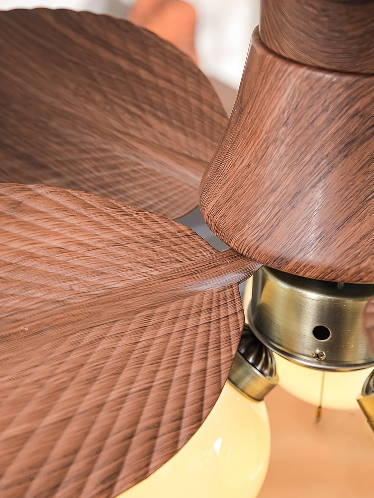 Koalan Ceiling Fan Light