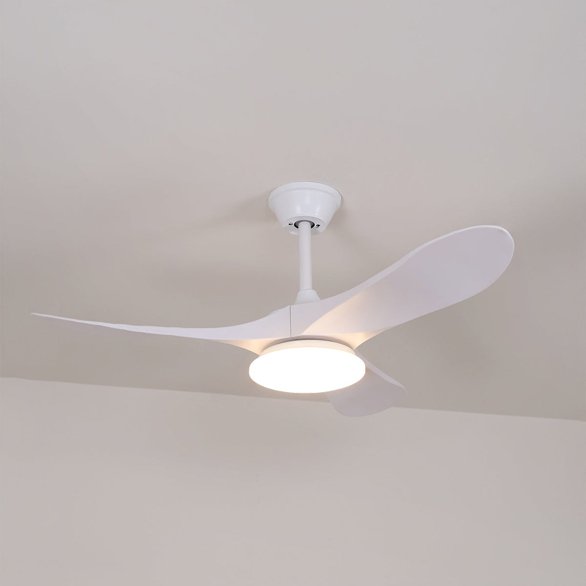 Orenlynko Ceiling Fan Light