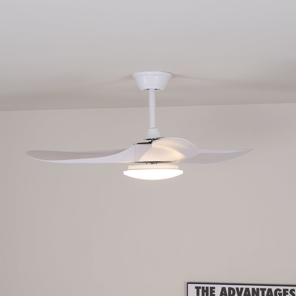 Orenlynko Ceiling Fan Light