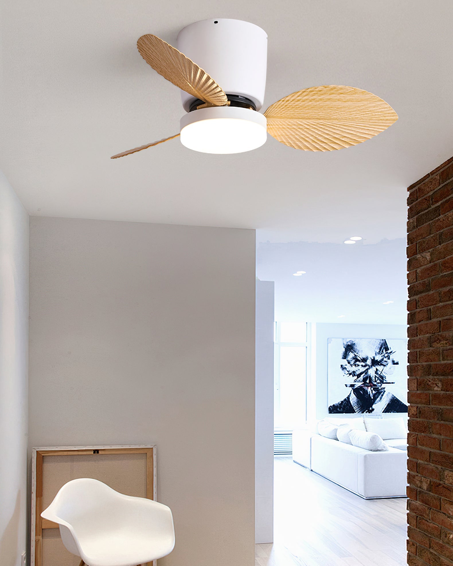 Viroas Ceiling Fan Light