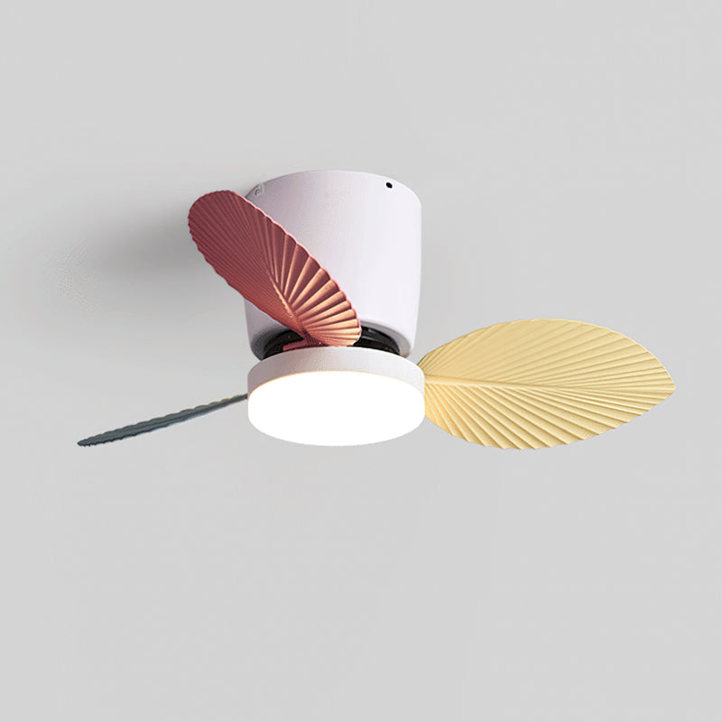 Viroas Ceiling Fan Light