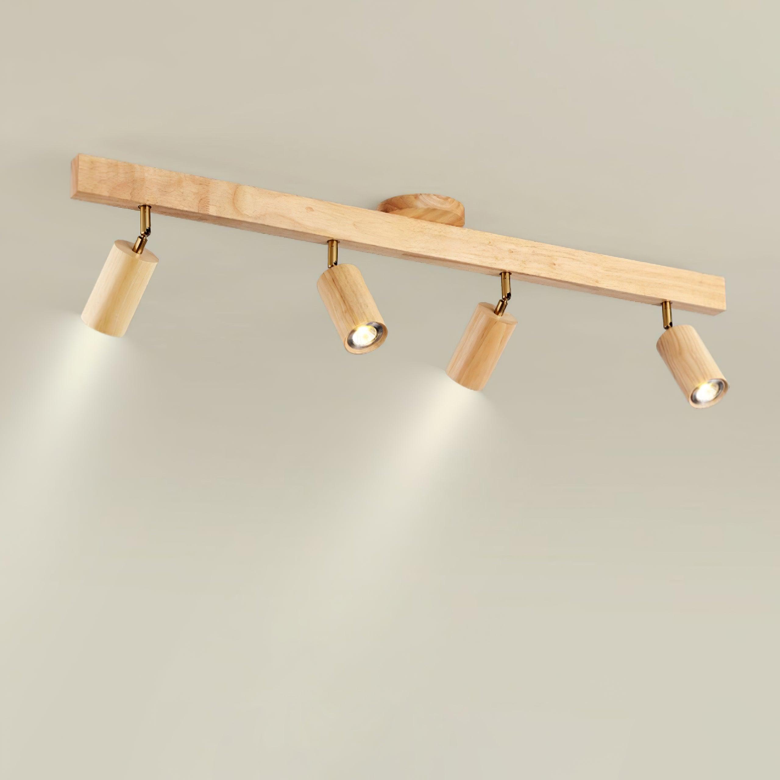 Lorim Track Ceiling Light