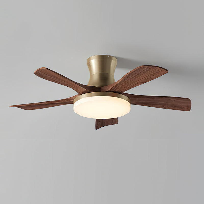 Joreri Ceiling Fan Light