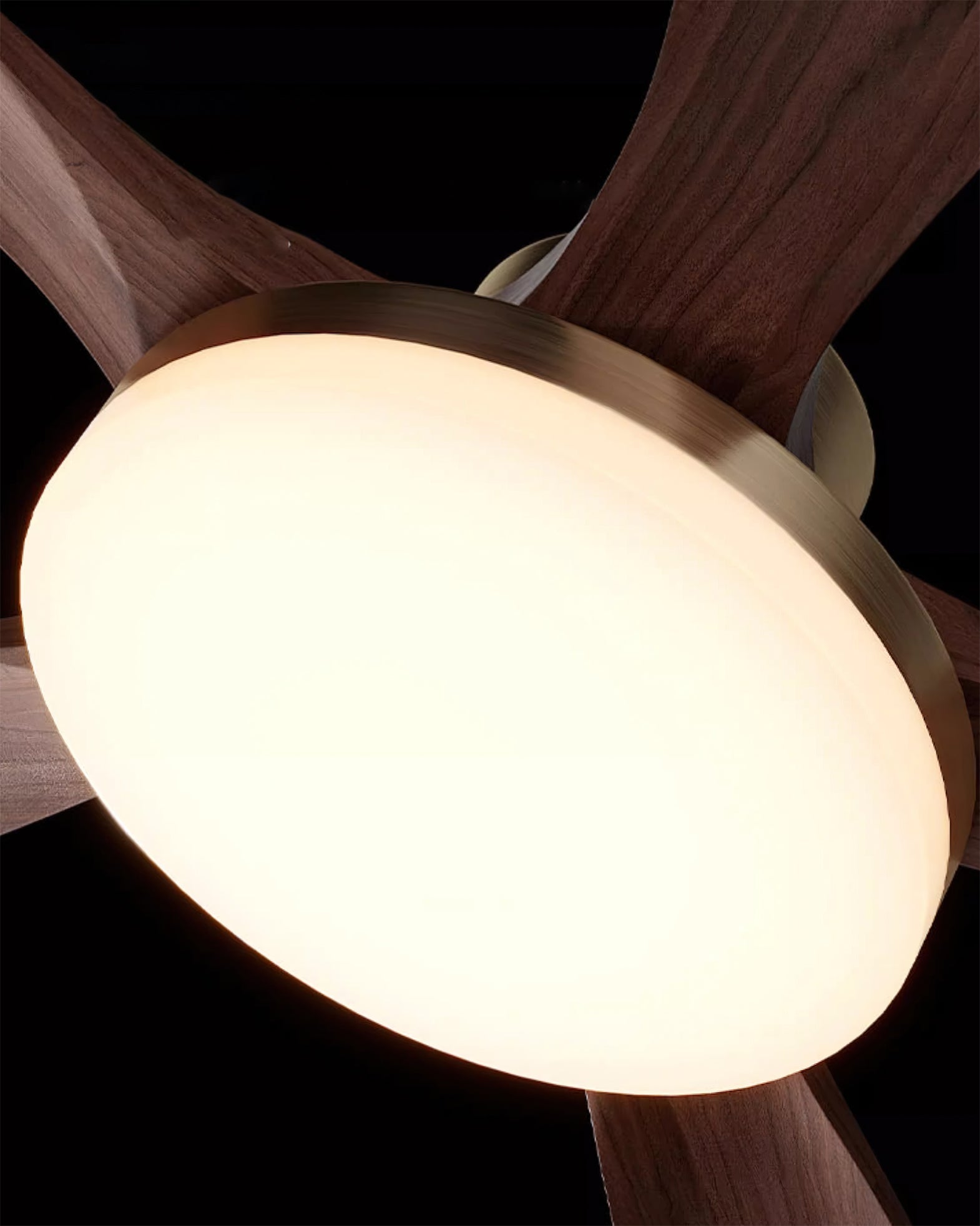 Joreri Ceiling Fan Light