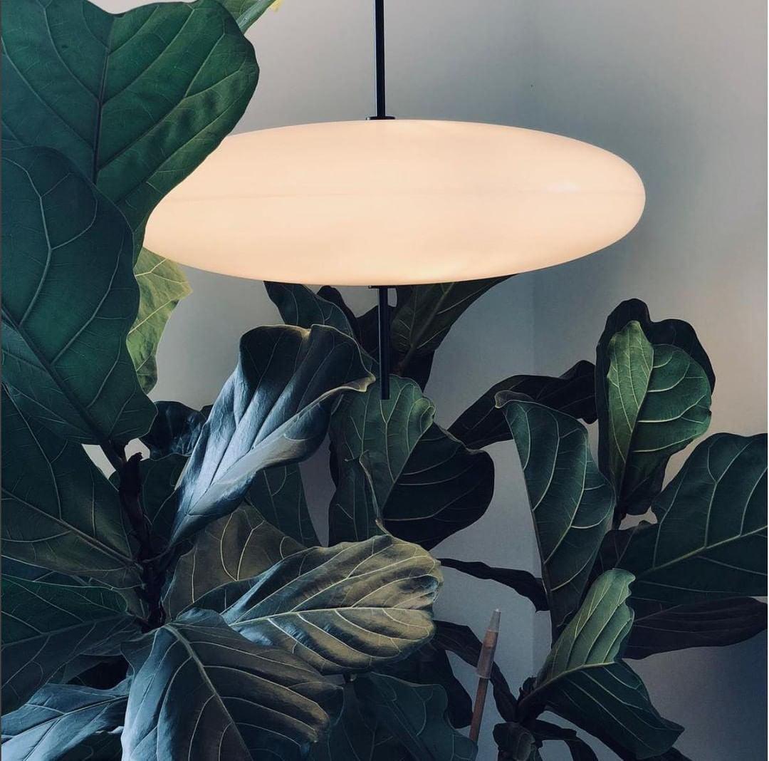 Lumko Minimalist Pendant Light