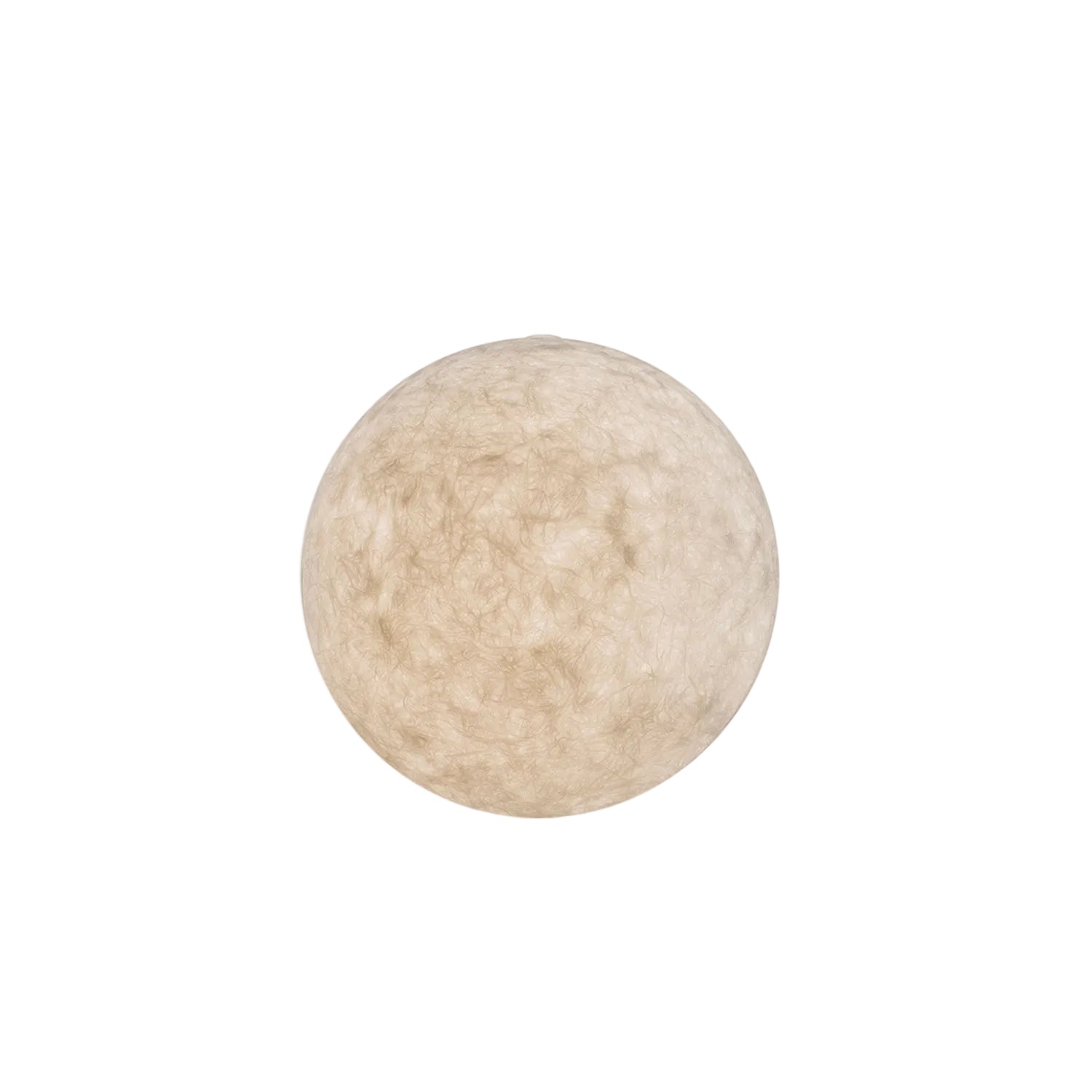 Camu Globe Pendant Light