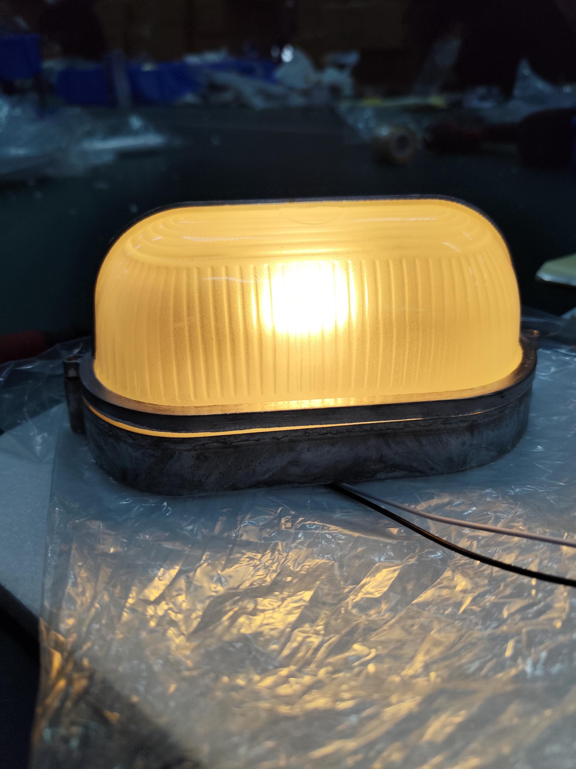 Belaner Outdoor Wall Light