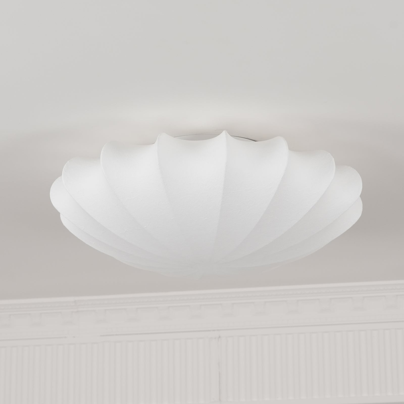 Riodenel Ceiling Light