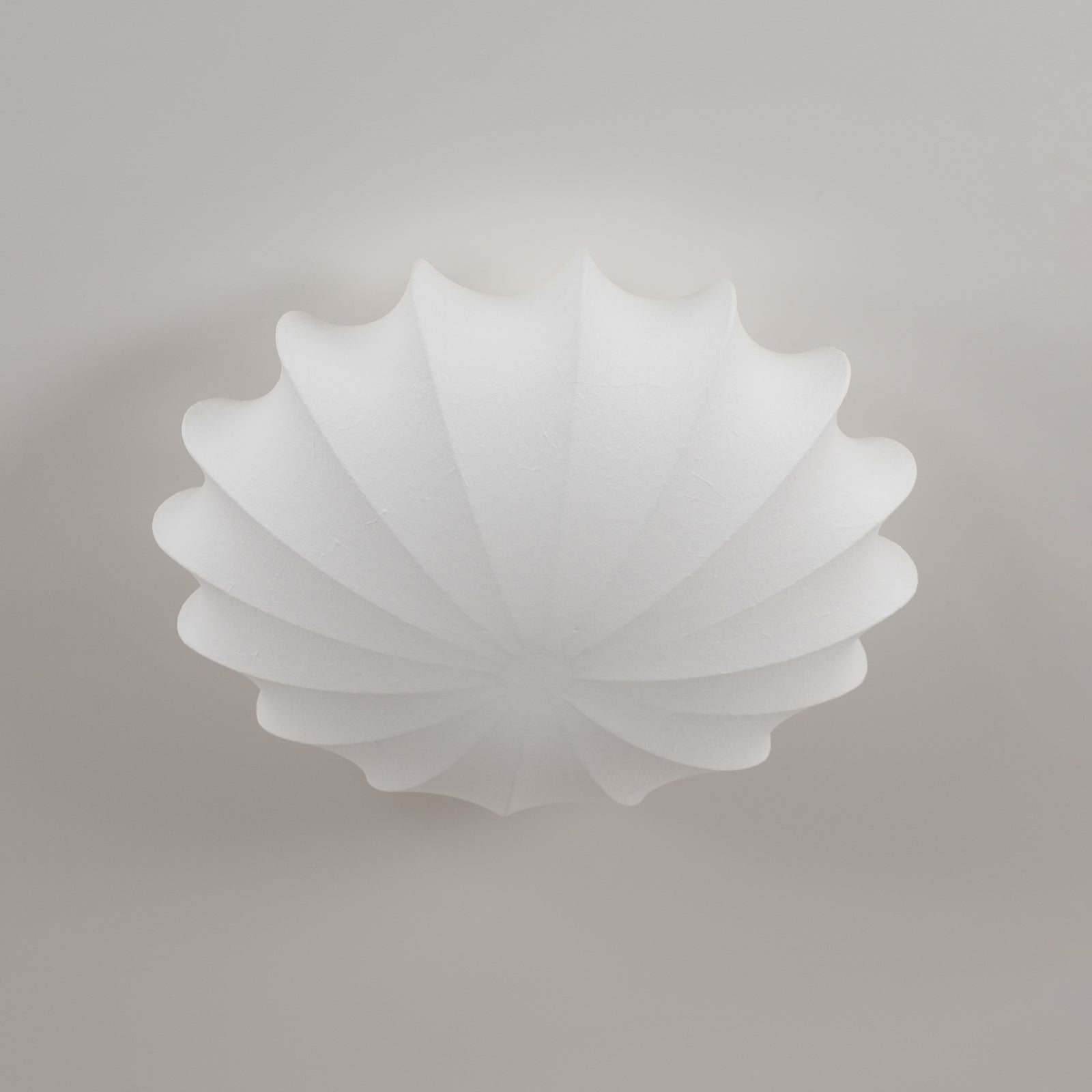 Riodenel Ceiling Light
