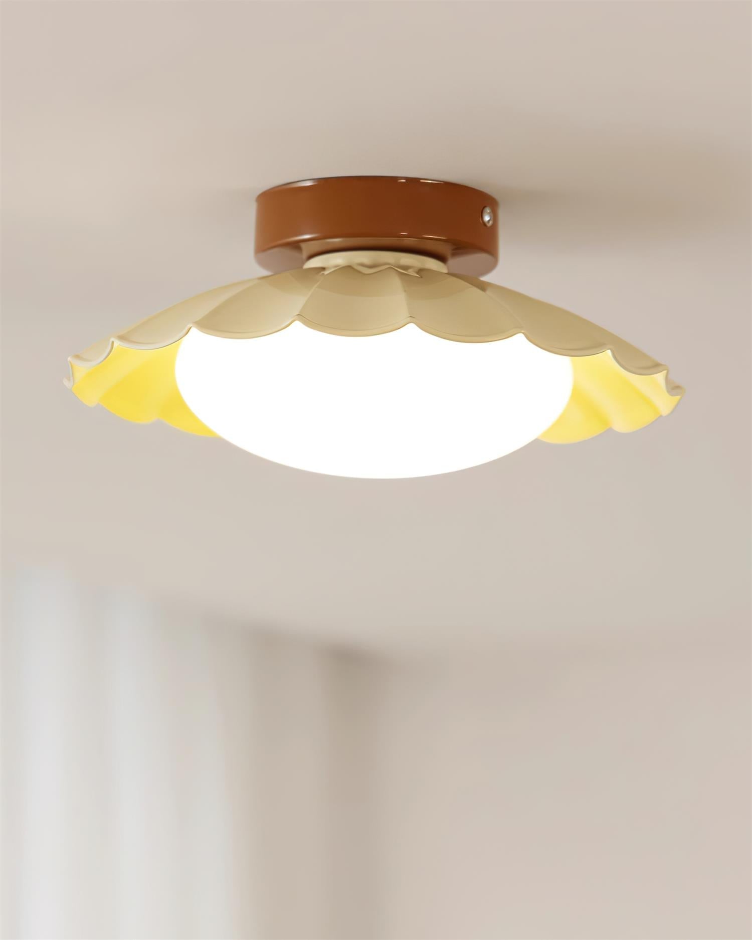 Rovevo Ceiling Light