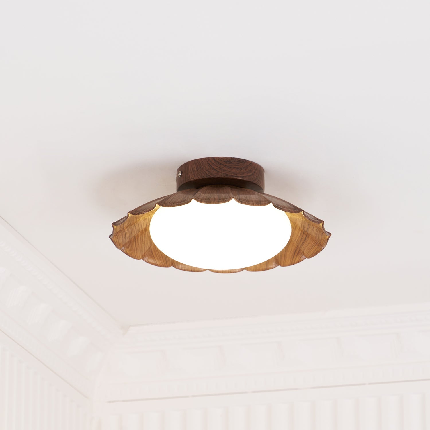 Rovevo Ceiling Light