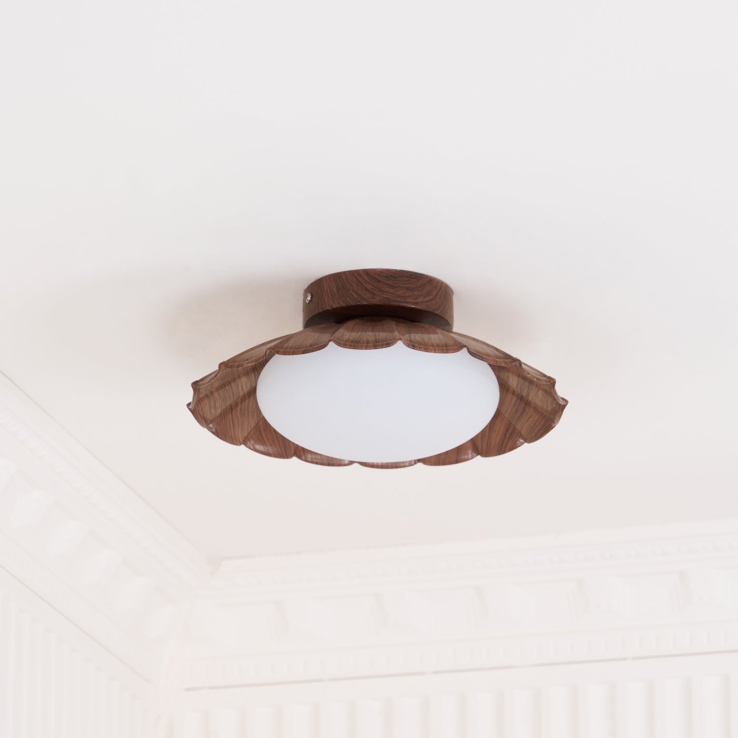 Rovevo Ceiling Light