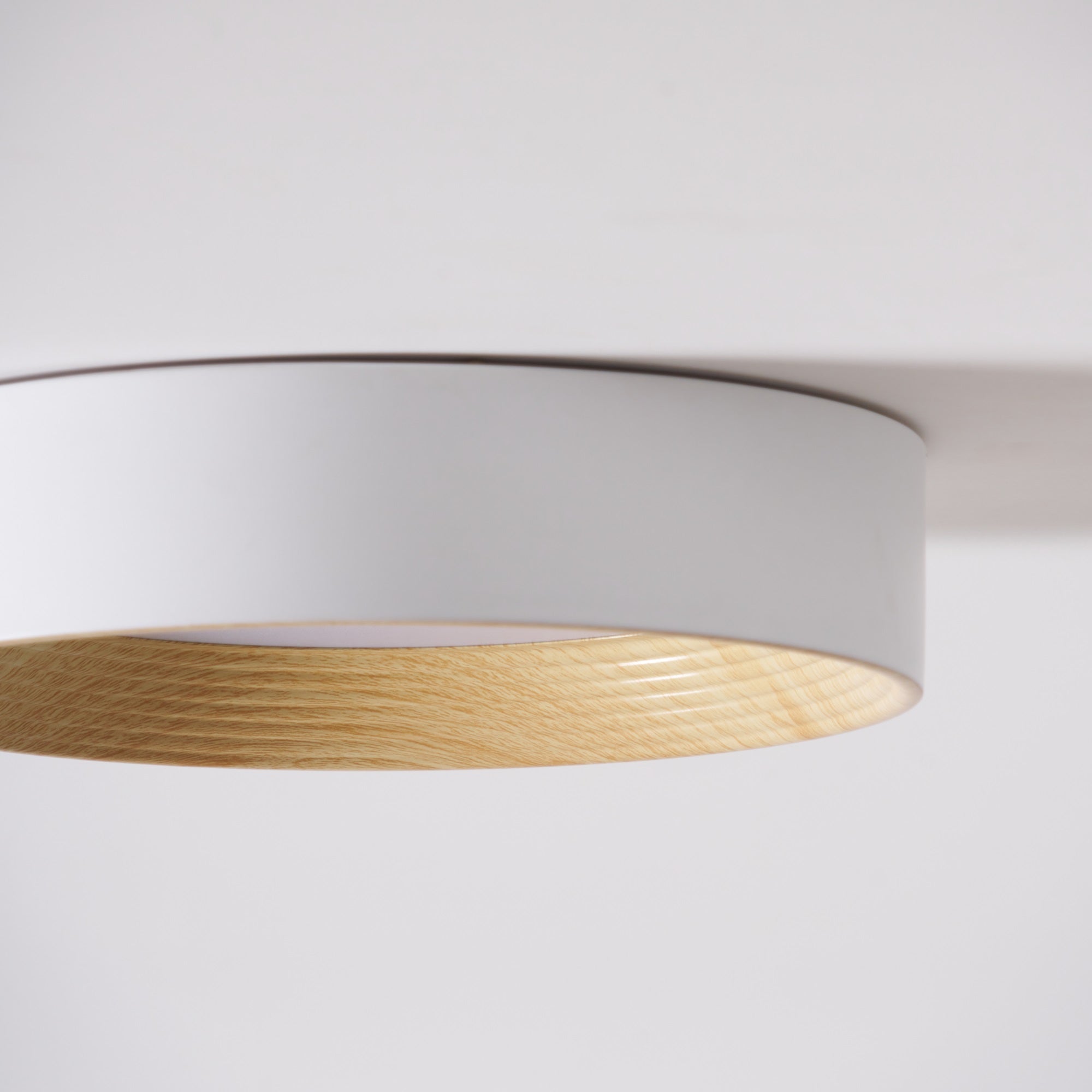 Lerexa Round Ceiling Light