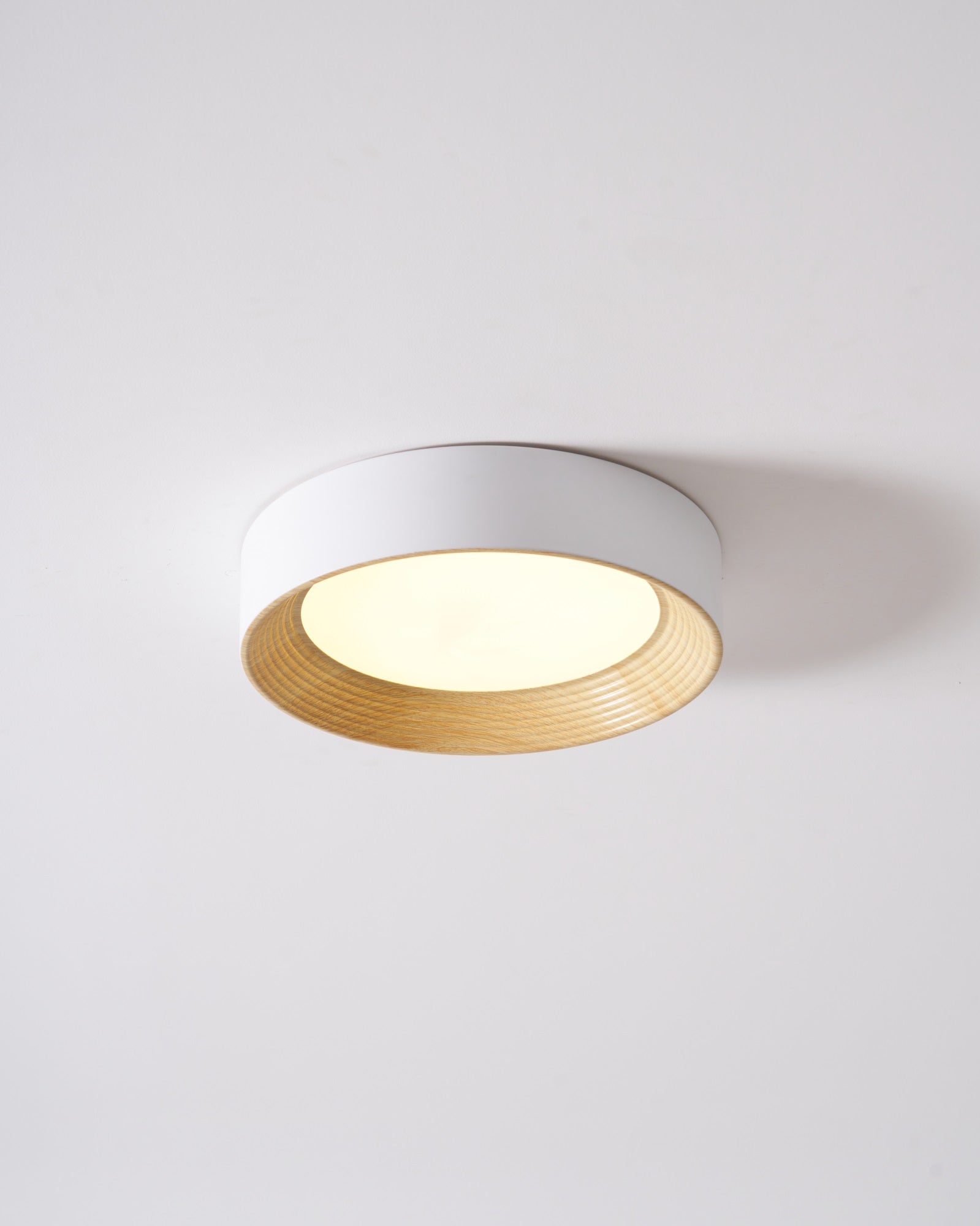 Lerexa Round Ceiling Light