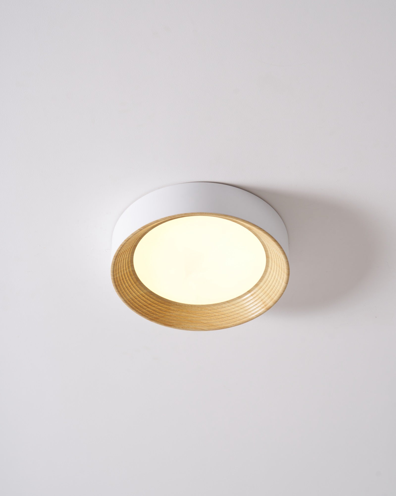 Lerexa Round Ceiling Light