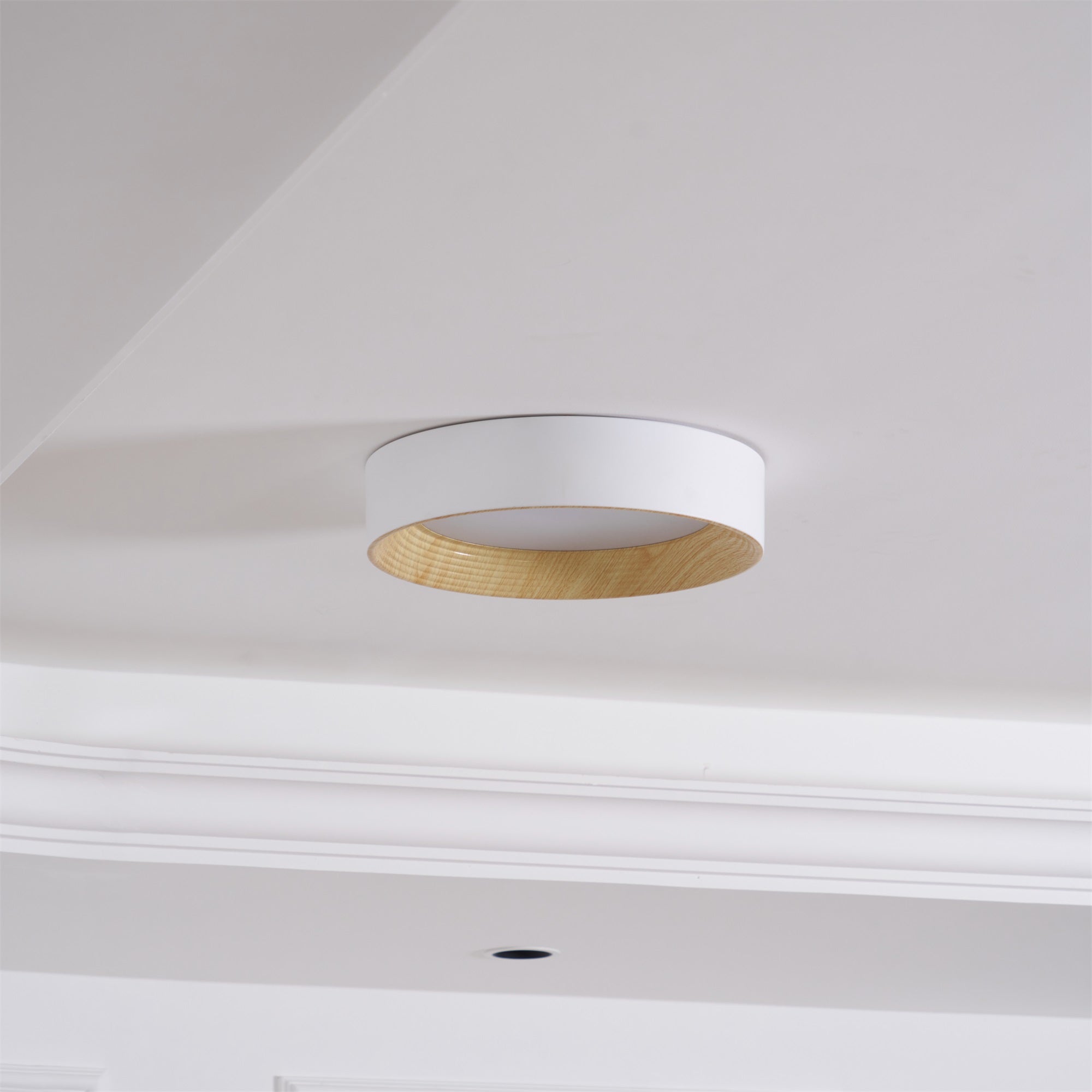 Lerexa Round Ceiling Light